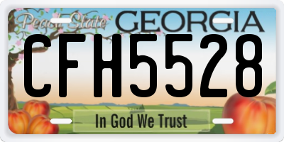 GA license plate CFH5528