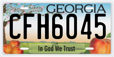GA license plate CFH6045