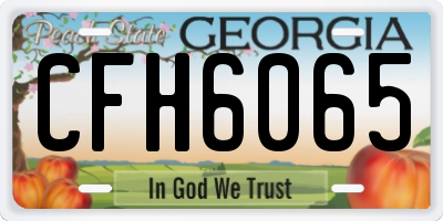 GA license plate CFH6065
