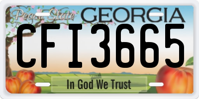 GA license plate CFI3665