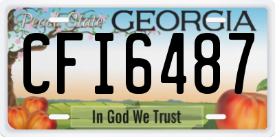 GA license plate CFI6487