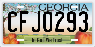 GA license plate CFJ0293