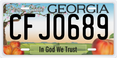 GA license plate CFJ0689