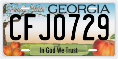 GA license plate CFJ0729