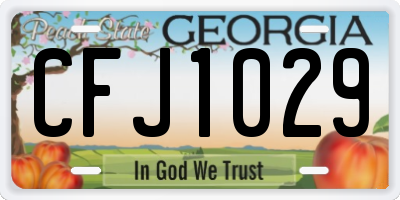 GA license plate CFJ1029