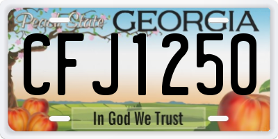 GA license plate CFJ1250