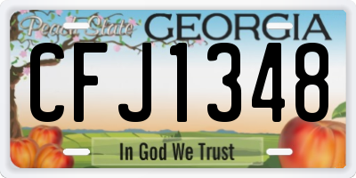 GA license plate CFJ1348