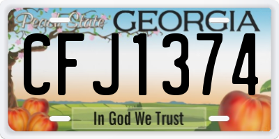 GA license plate CFJ1374