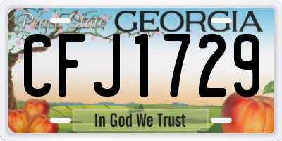 GA license plate CFJ1729