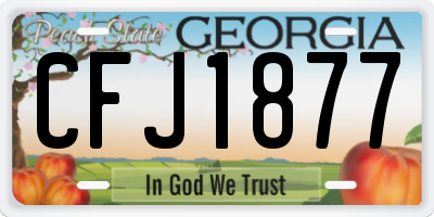 GA license plate CFJ1877