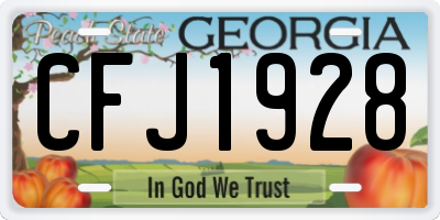 GA license plate CFJ1928