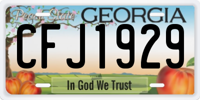 GA license plate CFJ1929
