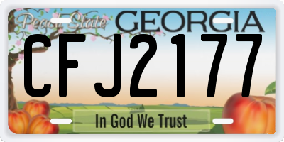 GA license plate CFJ2177