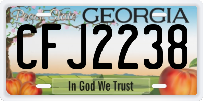 GA license plate CFJ2238