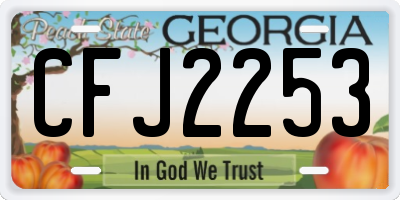 GA license plate CFJ2253