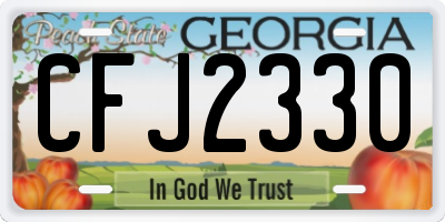 GA license plate CFJ2330