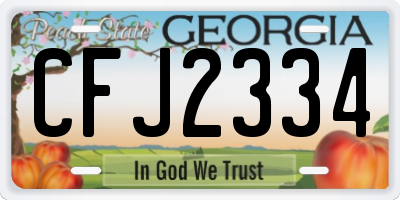 GA license plate CFJ2334