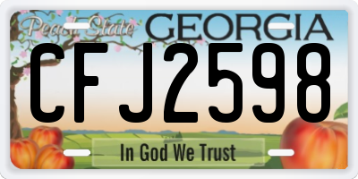 GA license plate CFJ2598