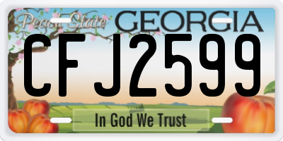 GA license plate CFJ2599