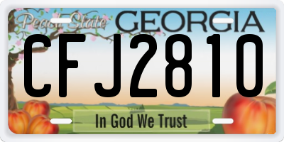 GA license plate CFJ2810