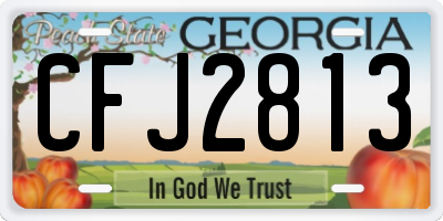 GA license plate CFJ2813