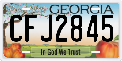 GA license plate CFJ2845