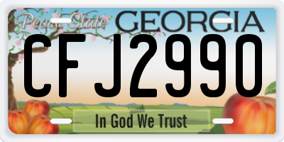 GA license plate CFJ2990