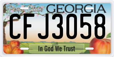 GA license plate CFJ3058
