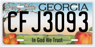 GA license plate CFJ3093