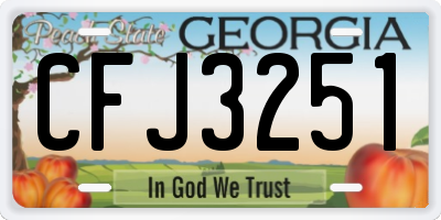 GA license plate CFJ3251