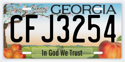 GA license plate CFJ3254