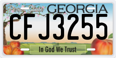 GA license plate CFJ3255