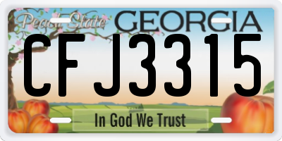 GA license plate CFJ3315