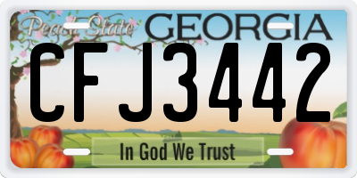 GA license plate CFJ3442