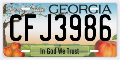 GA license plate CFJ3986