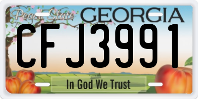 GA license plate CFJ3991