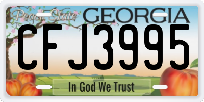 GA license plate CFJ3995