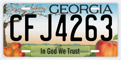 GA license plate CFJ4263