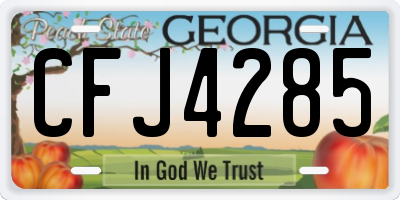 GA license plate CFJ4285
