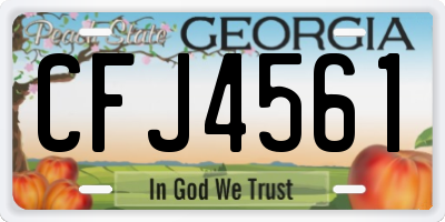 GA license plate CFJ4561