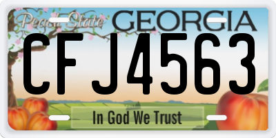 GA license plate CFJ4563