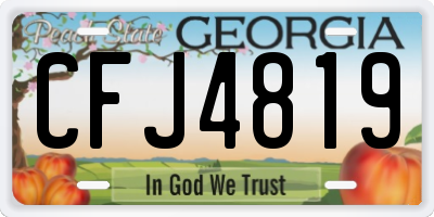 GA license plate CFJ4819