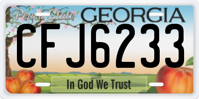 GA license plate CFJ6233