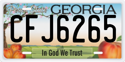 GA license plate CFJ6265