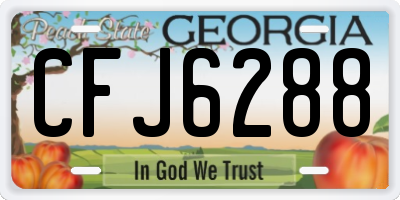 GA license plate CFJ6288