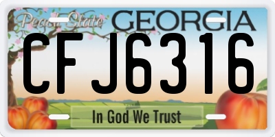 GA license plate CFJ6316