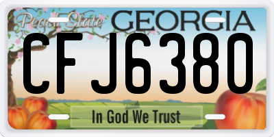 GA license plate CFJ6380