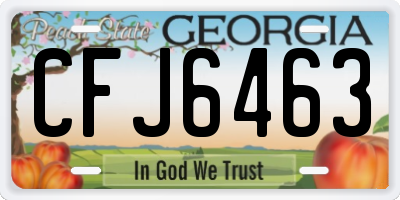 GA license plate CFJ6463
