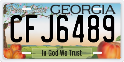 GA license plate CFJ6489