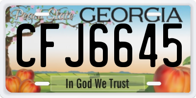 GA license plate CFJ6645